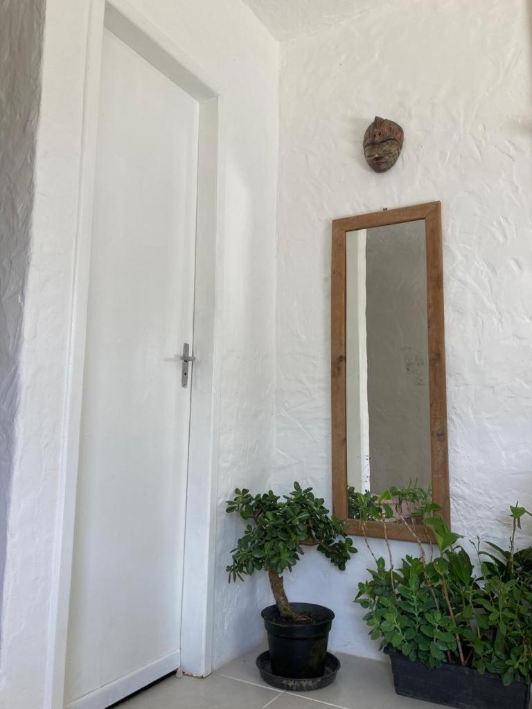 Surf Paradise Apartamentos Pinheiro Exterior photo